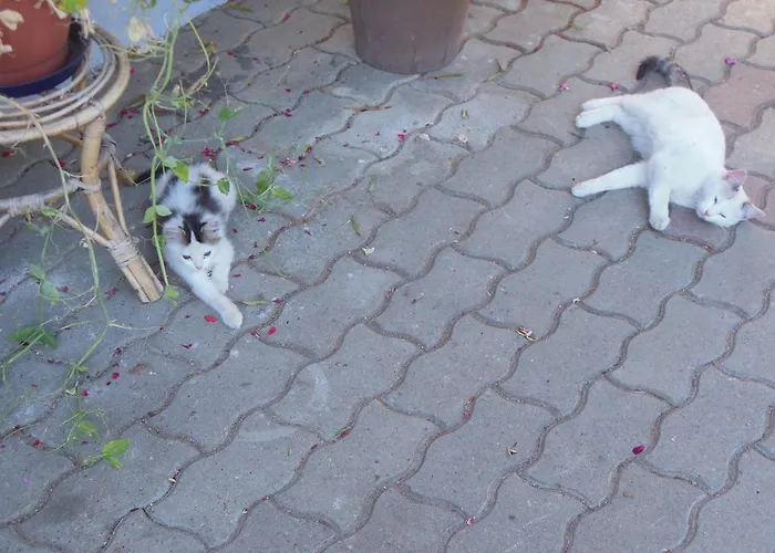 Séjour à la ferme Joerghof